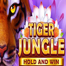 https://b3ti-cdn1-platform.cdn-in-flare.com/resources//media/games_images//lucky_streak_booongo/tiger_jungle_1676014904.jpg